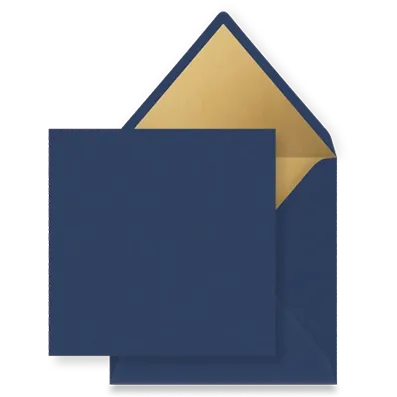 donkerblauwinlaygoud Enveloppen - Een overzicht van alle beschikbare enveloppen