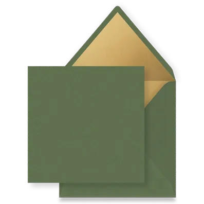 donkergroeninlaygoud Enveloppen - Een overzicht van alle beschikbare enveloppen