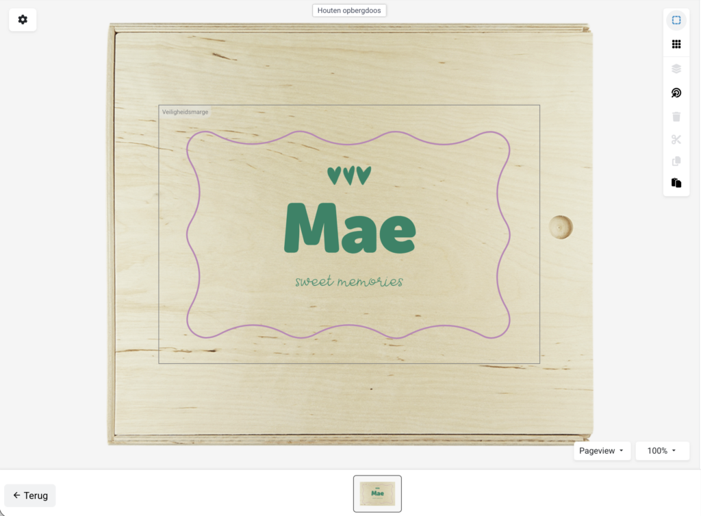 editor-bewaardoos-1-1024x753 Houten bewaardoos