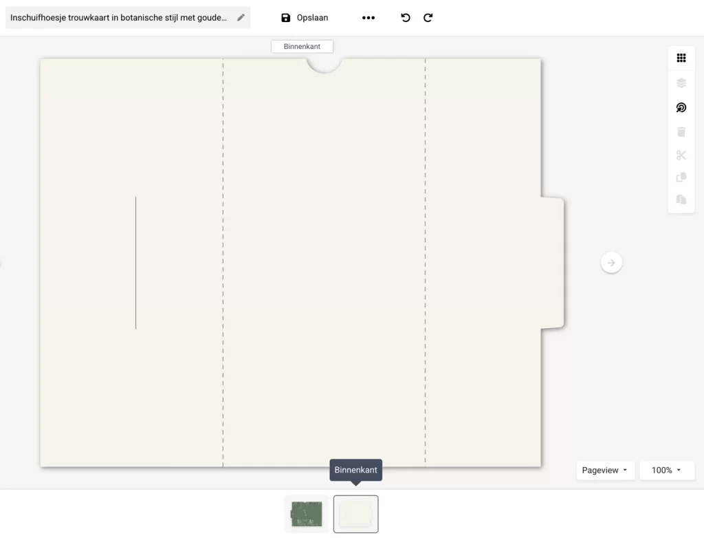 editorweergave-sleeve2-1024x782 Sleeve - Insteekhoes