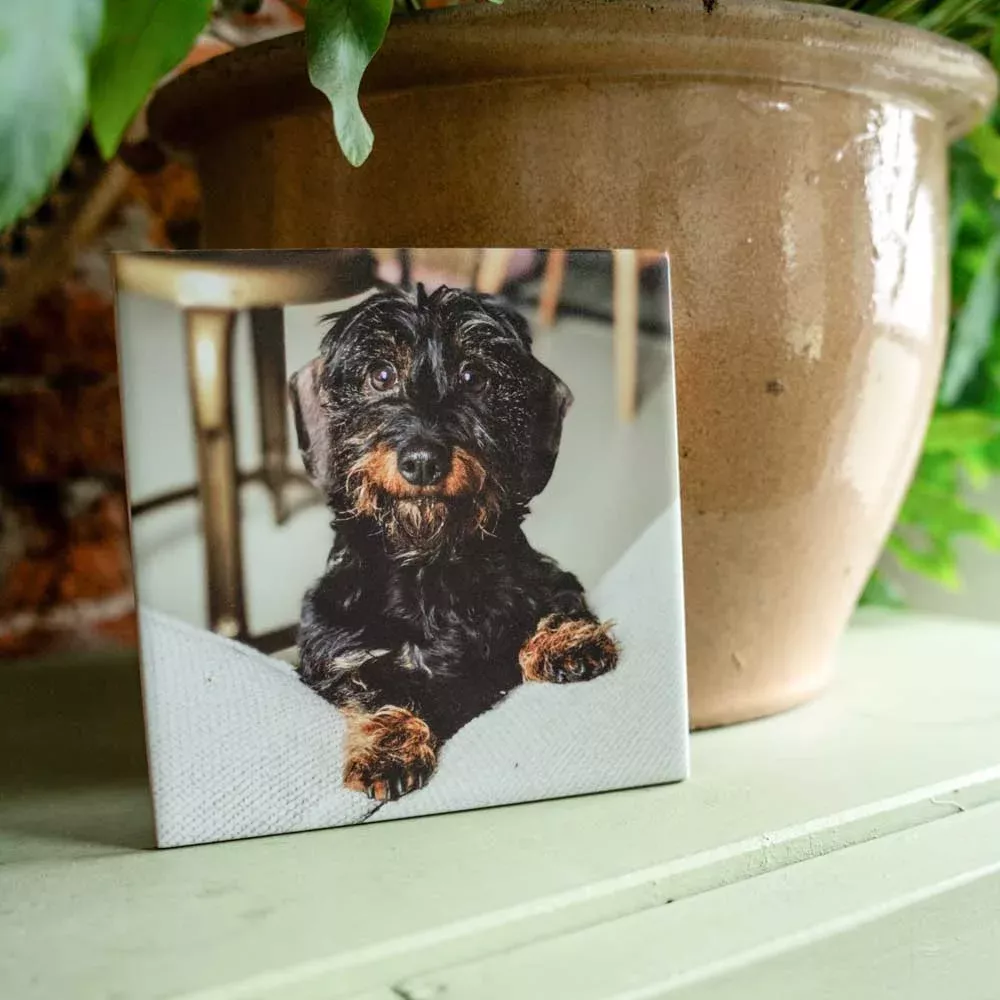 fototegeltje2 Tegeltje Keramiek