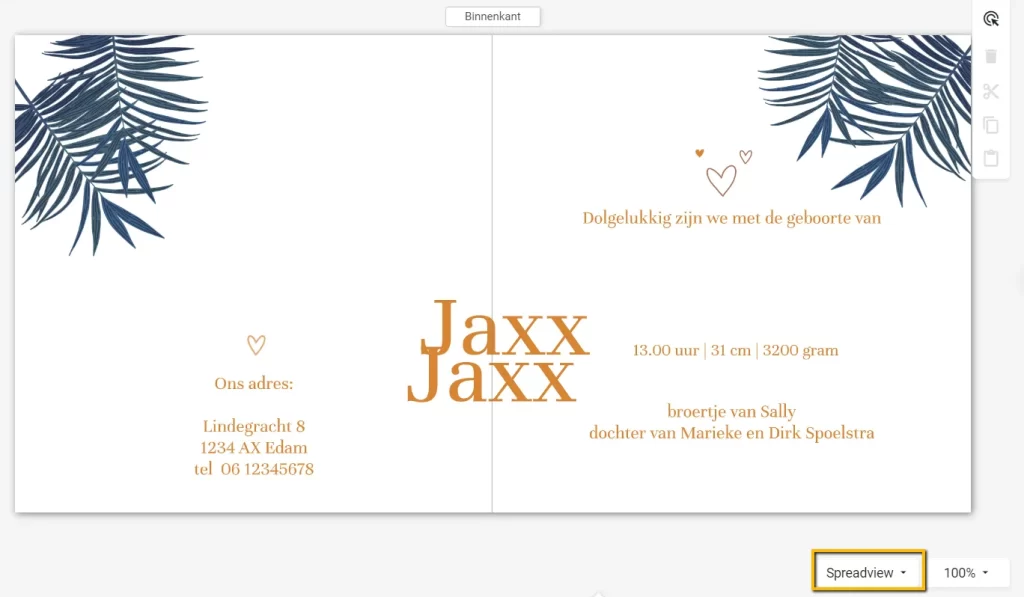fout_spreadview-1024x597 Toggle Spread-, Page- & Card-view