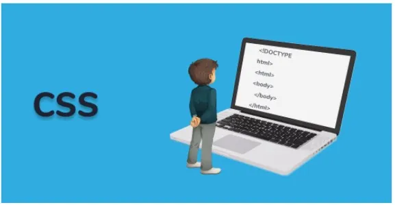 image-48 Terminologie