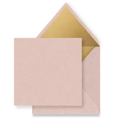 oudrozeinlaygoud Enveloppen - Een overzicht van alle beschikbare enveloppen