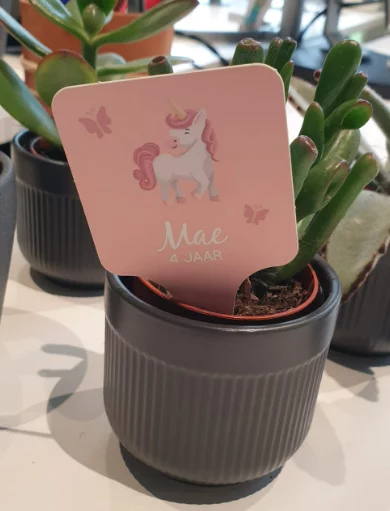 prikker-voorbeeld Prikkers