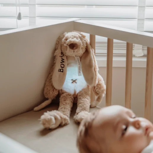 sfeerbeeld-konijn Happy Horse Konijn Richie