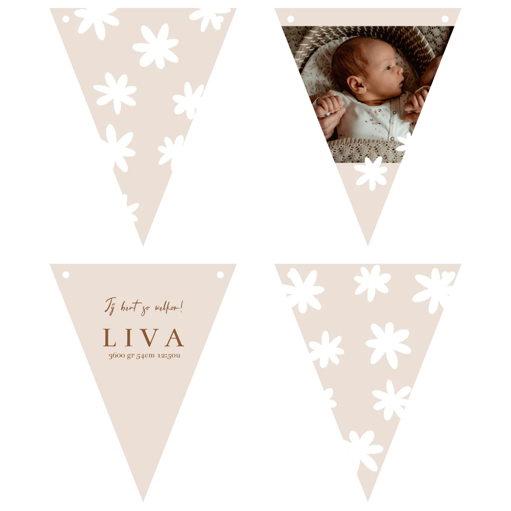 Vlaggetjes kaartje Zo Joann