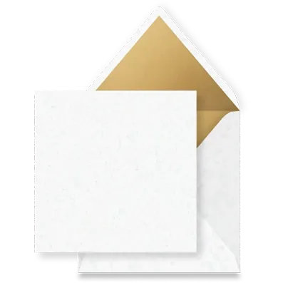 witinlaygoud Enveloppen - Een overzicht van alle beschikbare enveloppen