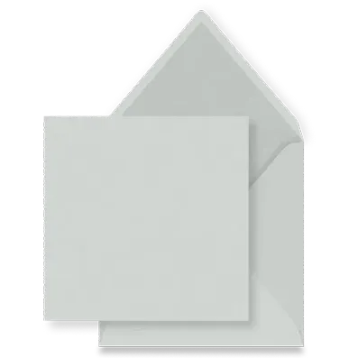 zilver Enveloppen - Een overzicht van alle beschikbare enveloppen