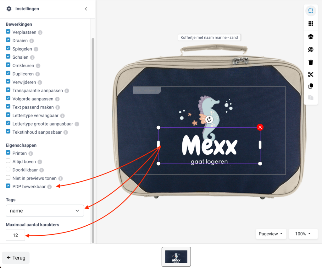 Scherm­afbeelding-2026-04-16-om-15.28.48-1024x854 Koffertje met naam