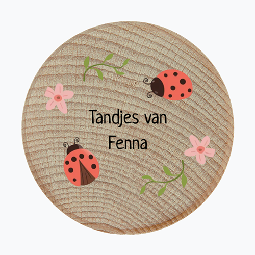 Tandendoosje-3 Tandendoosje met naam