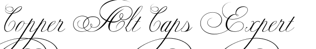 e45ab83b8780f82b686c3d3c8e5619b3-91f9d723 Sparkles Fontlijst